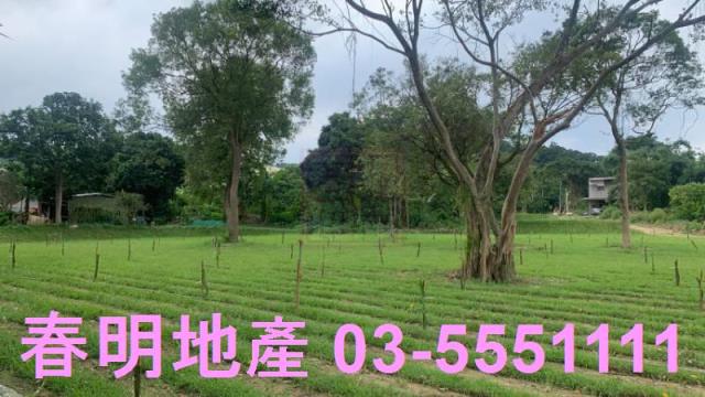 新竹關西農地-3