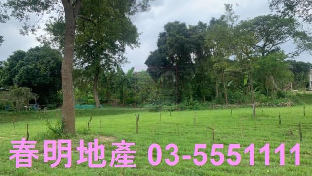 新竹關西農地-4