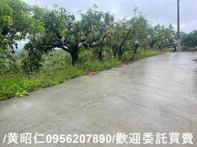 台南玉井農地-0