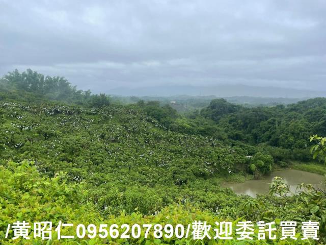 台南玉井農地-1