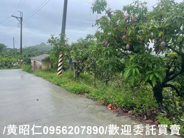 台南玉井農地-2