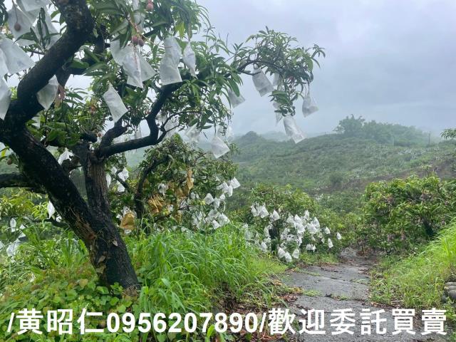 台南玉井農地-3