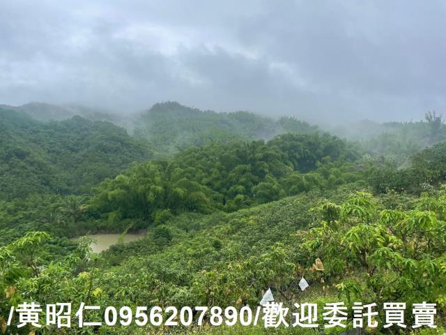 台南玉井農地-5