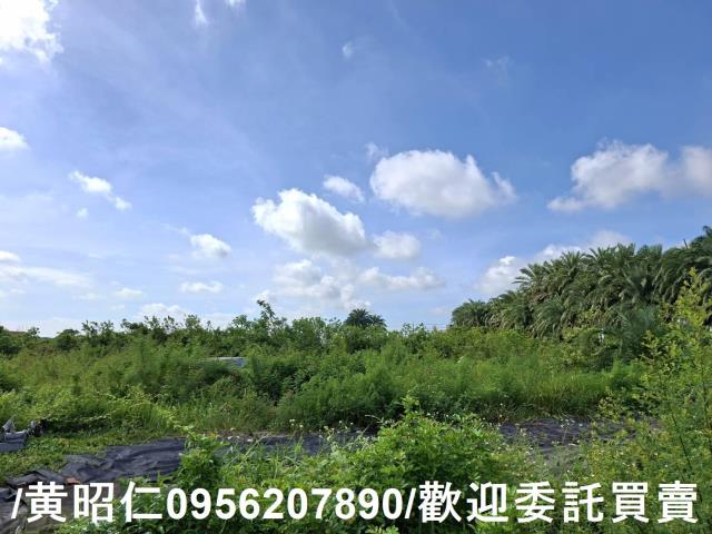 台南安南農地-6