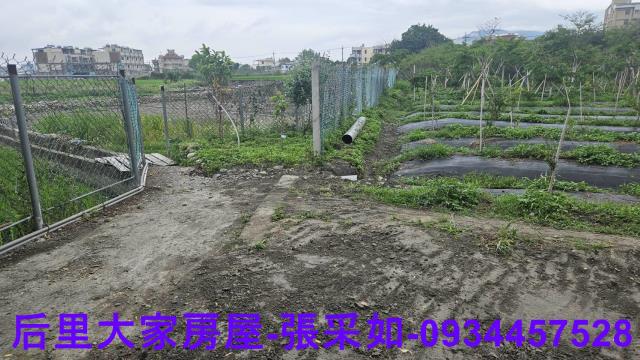 台中后里農地-2