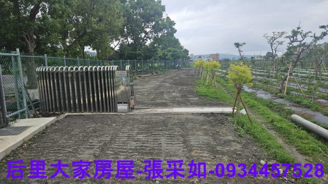 台中后里農地-5
