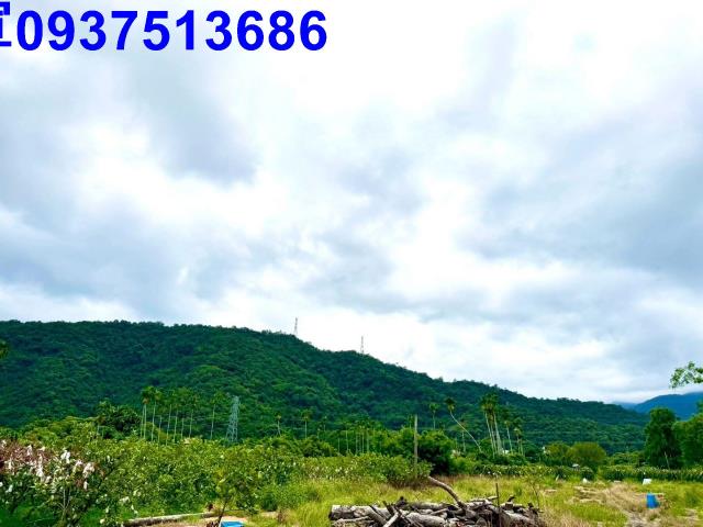 員山農地-3