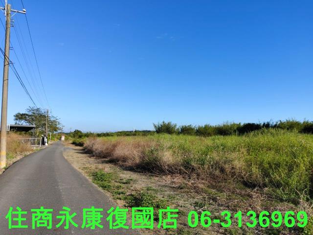關廟農地-6