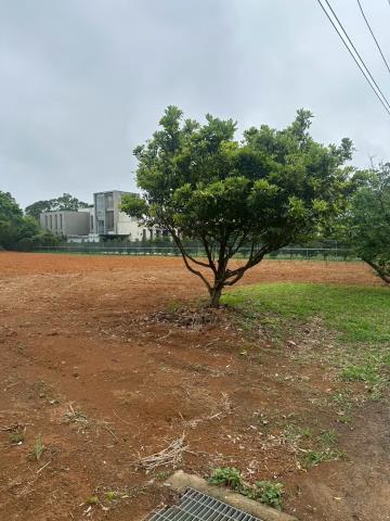 售桃園觀音區近新坡市區都內農地出售