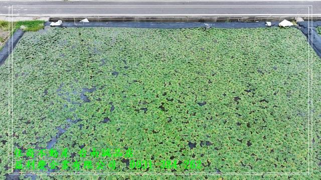 台南培倫房屋土地王