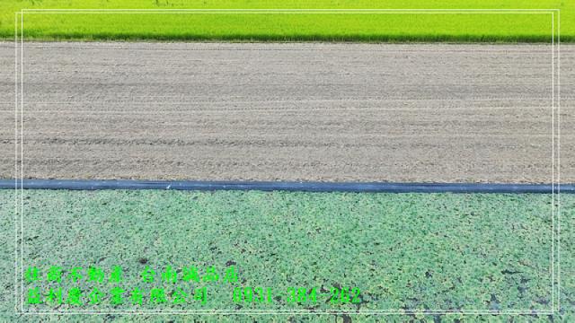 H。蝸牛居黃培倫