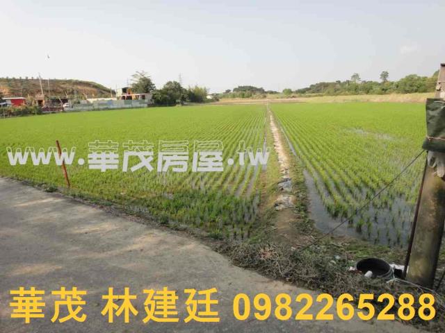 關廟農地法拍-3