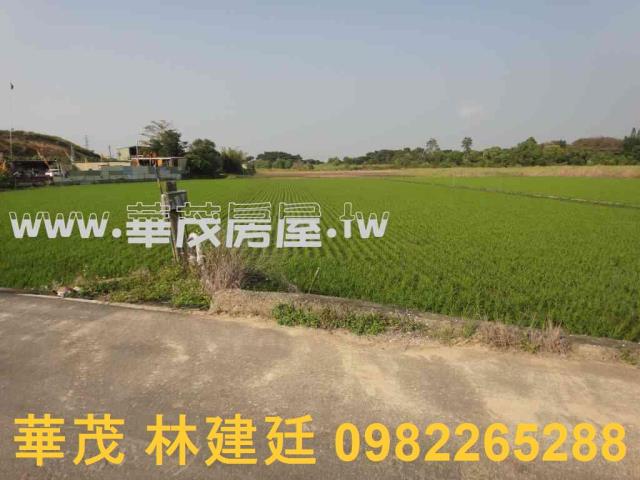 關廟農地法拍-5