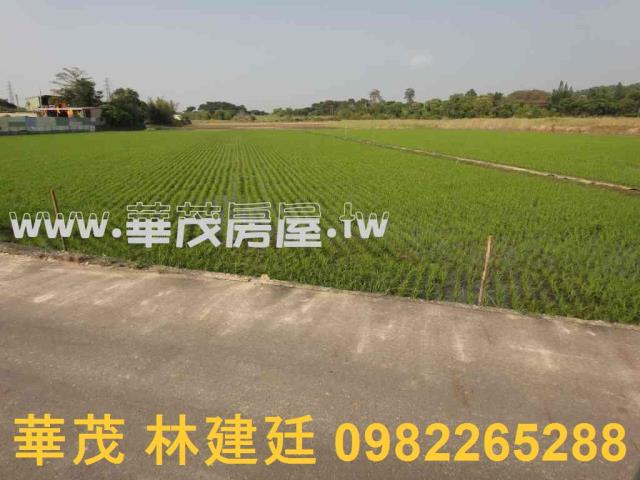 關廟農地法拍-6