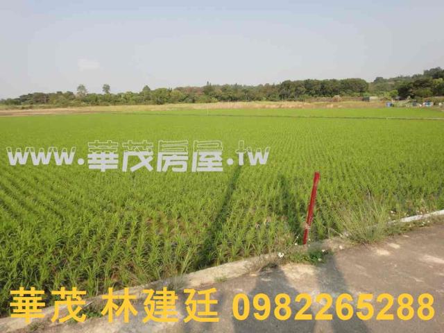 關廟農地法拍-8