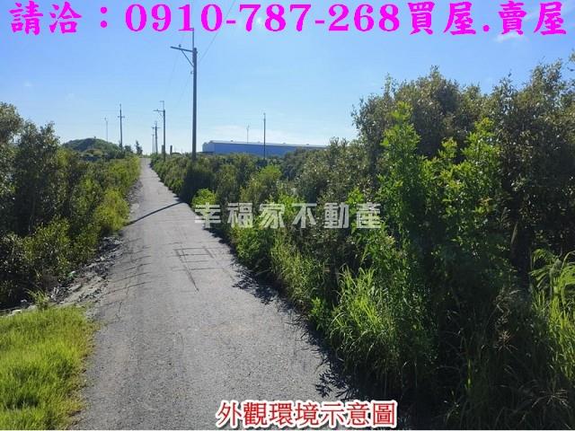 台南農地-9