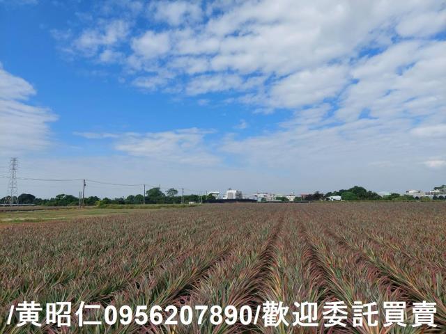 台南山上農地-5