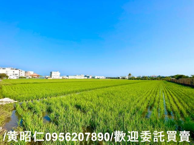 台南歸仁農地-5