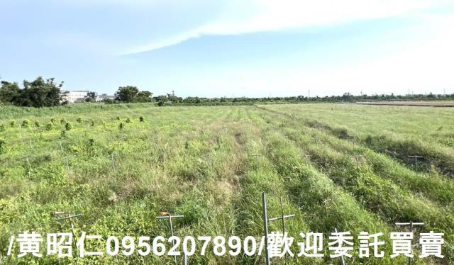 台南將軍農地-4