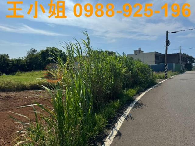 龍潭大坪數平坦農地