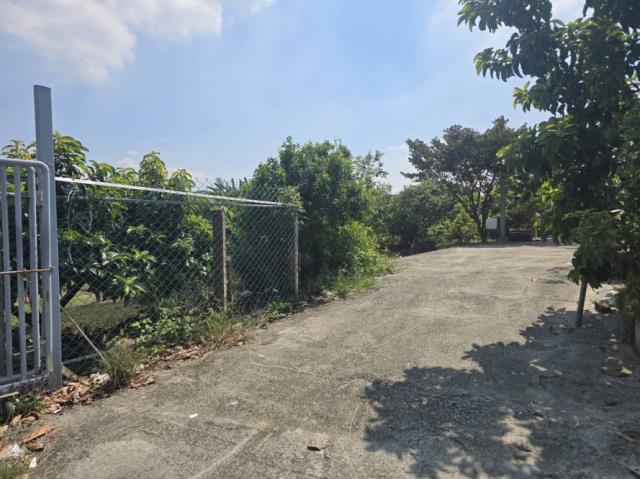 台南玉井農地-5