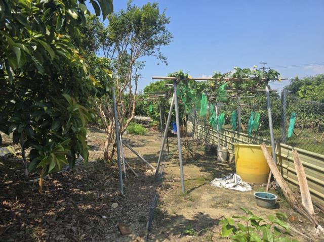 台南玉井農地-7