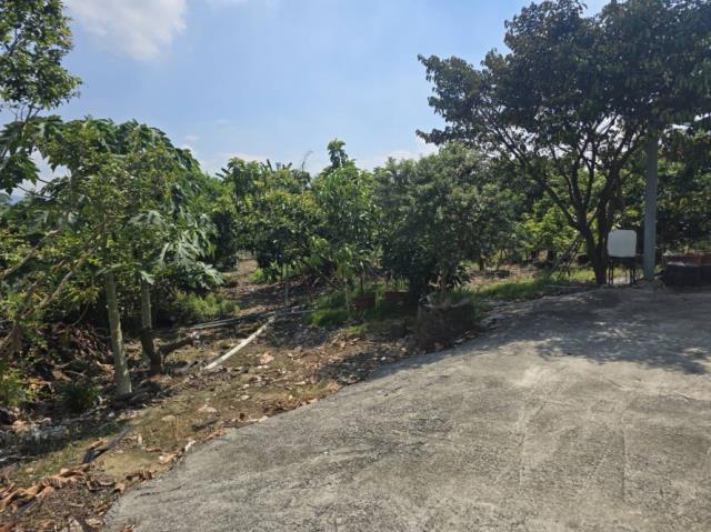 台南玉井農地-8