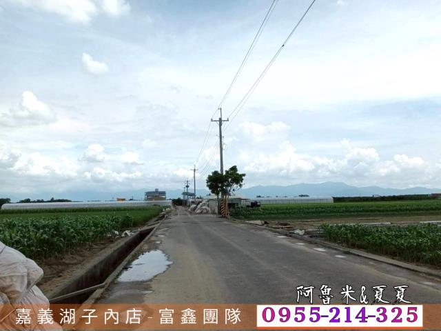 嘉義水上農地-1