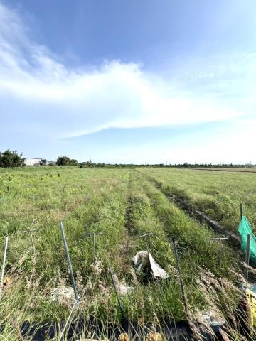 台南將軍農地-9