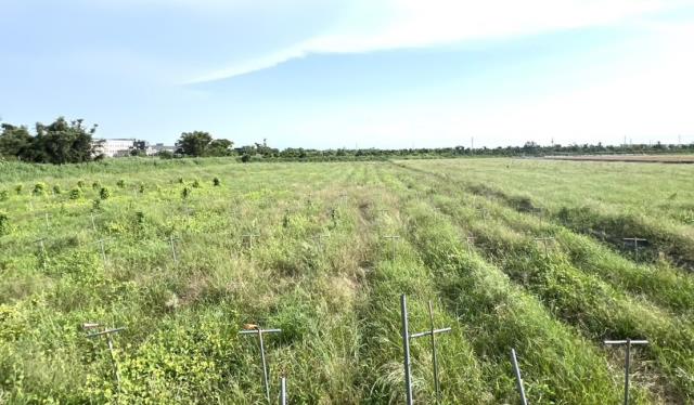 台南將軍農地-6