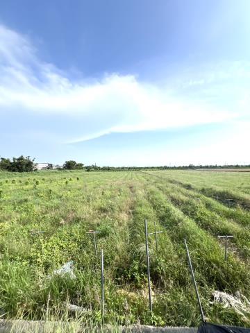 台南將軍農地-8