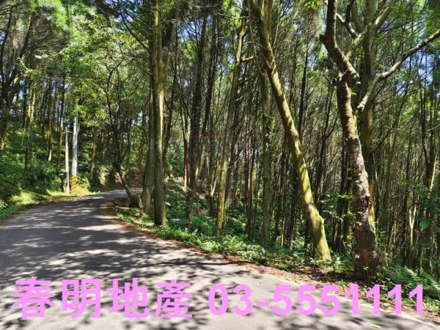 新竹橫山農地-11