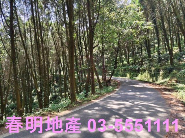 新竹橫山農地-5