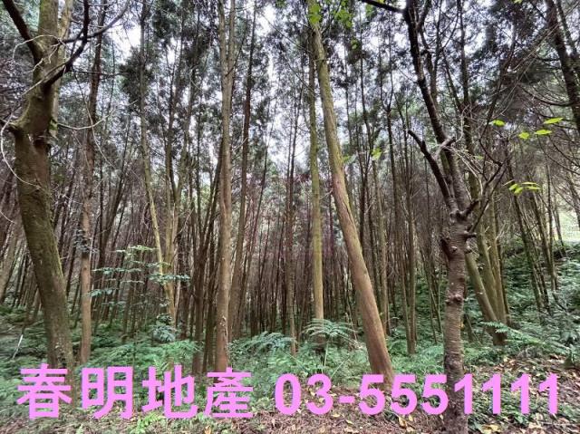 新竹橫山農地-8