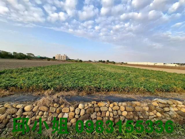 嘉義水上農地-1