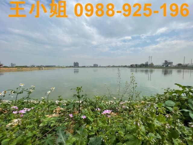 大園買農地送廠房