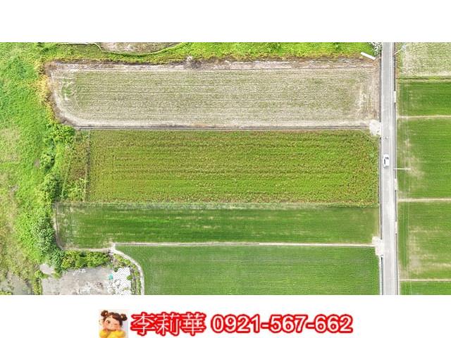 台南東山農地-2