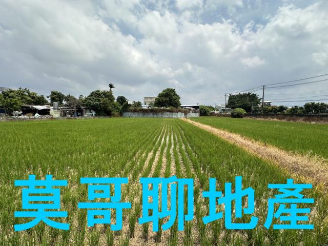 潭子農地-2
