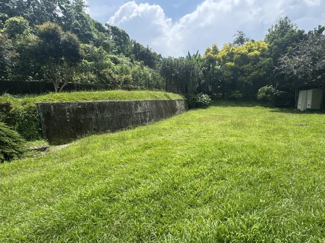 近三豐路俗農地