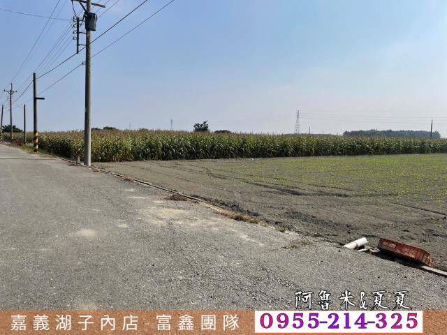 雲林水林農地-1