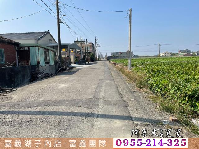 雲林水林農地-3