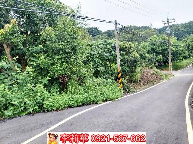 台南新化農地-1