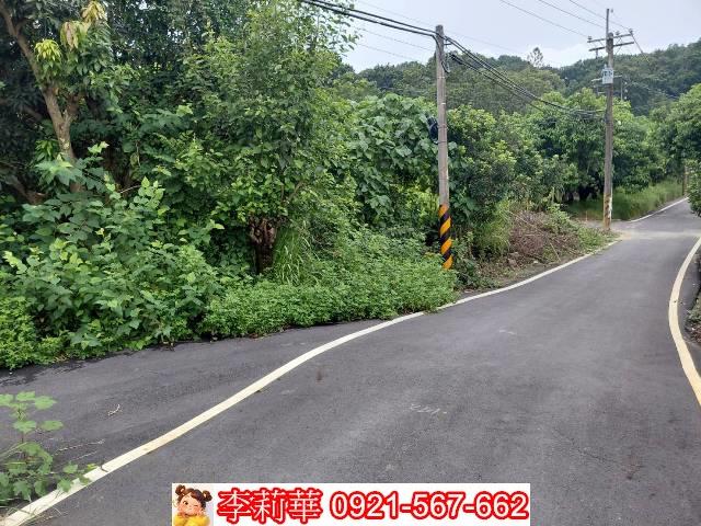 台南新化農地-3