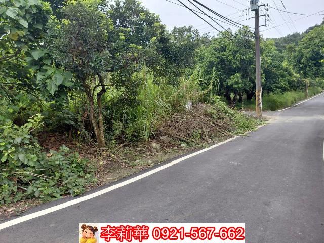 台南新化農地-4