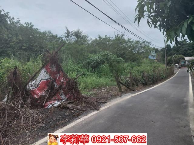 台南新化農地-5