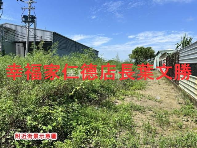 台南仁德農地-3