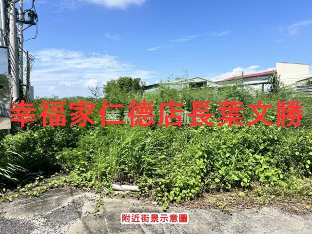 台南仁德農地-4