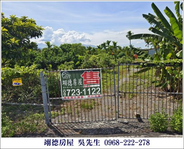 屏東高樹農地-1