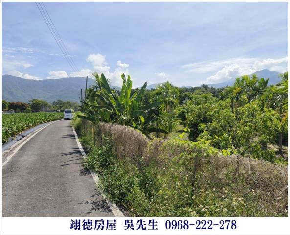 屏東高樹農地-2