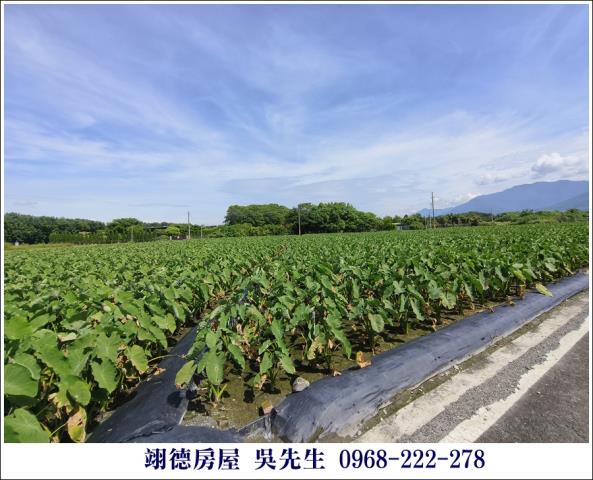 屏東高樹農地-4